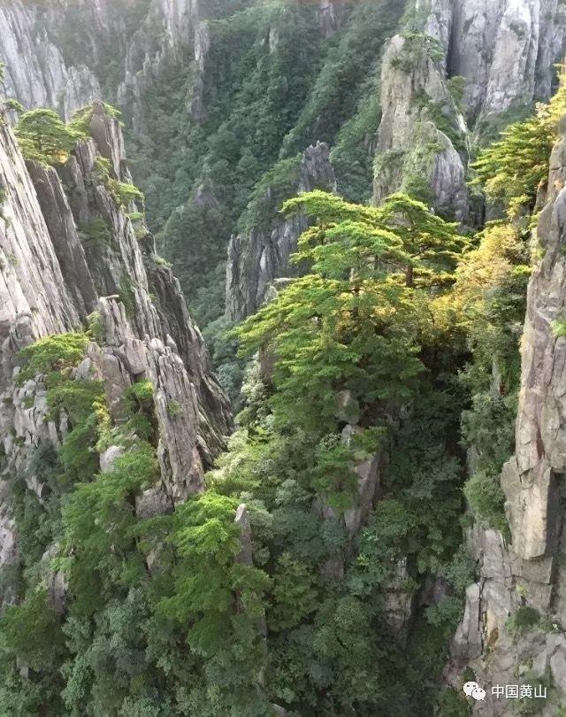 为什么我们一直推花生蛋白不推大豆蛋白呢?
